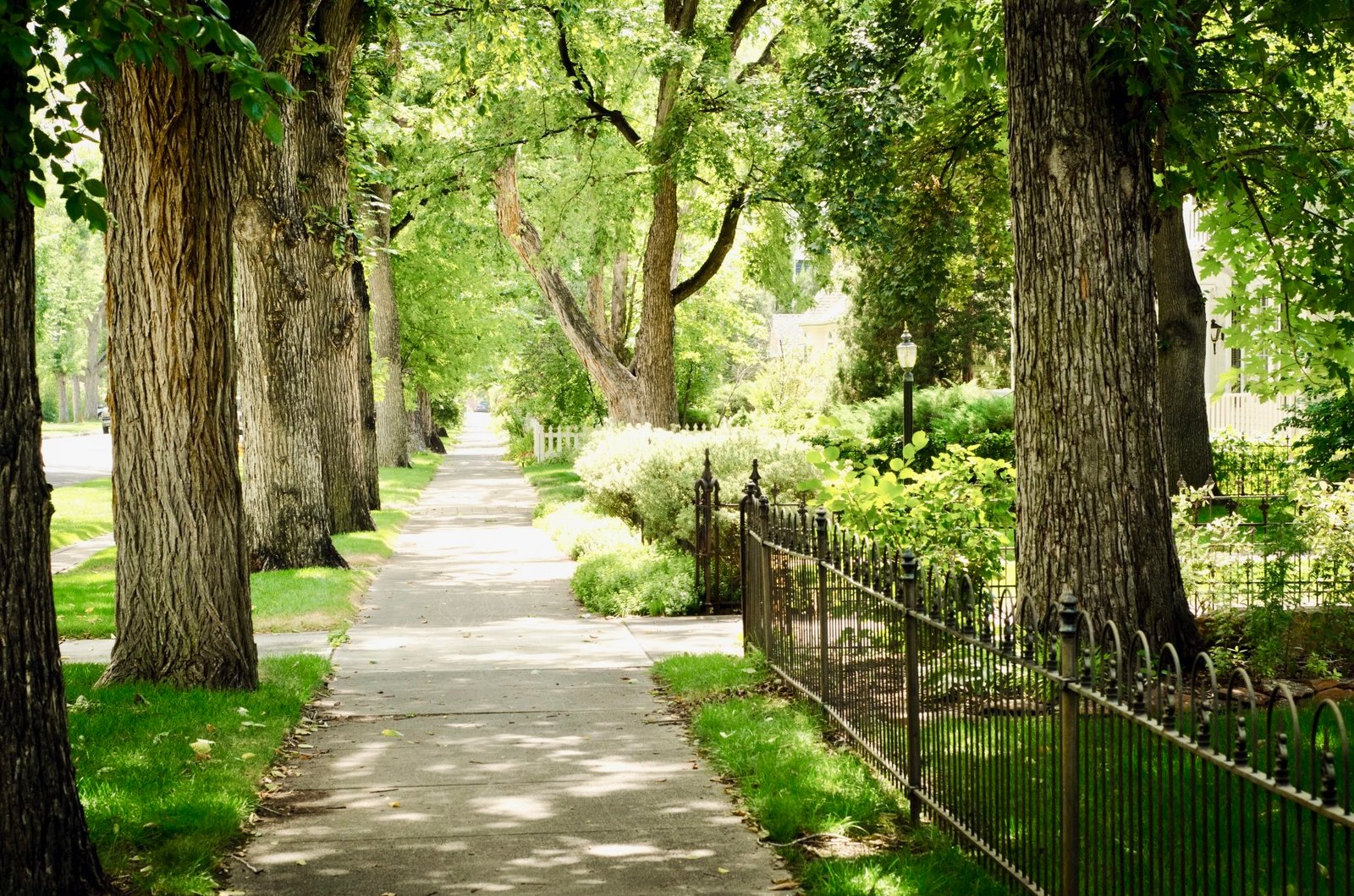 The Old North End Neighborhood The Home of Colorado Springs Old North