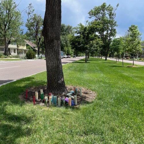 Fatality 8 - Photo 5