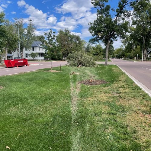 Fatality 8 - Photo 7