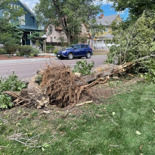 Fatality 8 - Photo 8