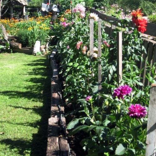 Neighborhood Garden